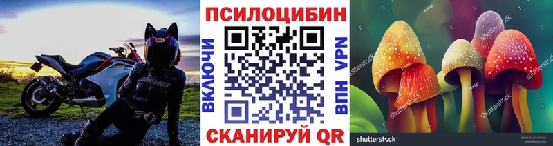 где можно купить наркотик  Кизляр  Галлюциногенные грибы мухоморы 